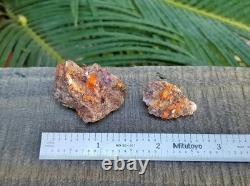 Wholesale Wulfenite Lot 26 Pieces, Red Cloud Mine Arizona Minerals Crystals Gems Wholesale Wulfenite Lot 26 Pieces, Red Cloud Mine Arizona Minerals Crystals Gems