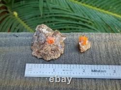 Wholesale Wulfenite Lot 26 Pieces, Red Cloud Mine Arizona Minerals Crystals Gems