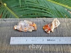 Wholesale Wulfenite Lot 26 Pieces, Red Cloud Mine Arizona Minerals Crystals Gems