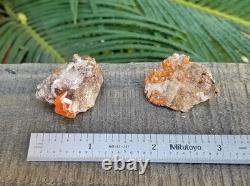 Wholesale Wulfenite Lot 26 Pieces, Red Cloud Mine Arizona Minerals Crystals Gems