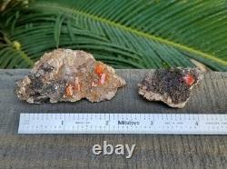Wholesale Wulfenite Lot 26 Pieces, Red Cloud Mine Arizona Minerals Crystals Gems