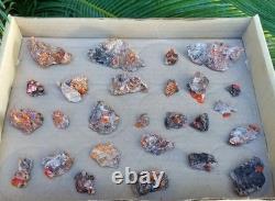 Wholesale Wulfenite Lot 26 Pieces, Red Cloud Mine Arizona Minerals Crystals Gems Wholesale Wulfenite Lot 26 Pieces, Red Cloud Mine Arizona Minerals Crystals Gems