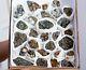 Wow! Shiny Pyrite With Quartz Crystals Lot Of 28 Pieces From Bulgaria