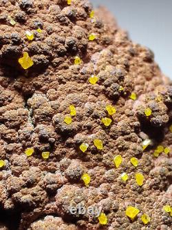 Wulfenite crystals on matrix, Beautiful piece. Whim Creek, Australia. 53 grams