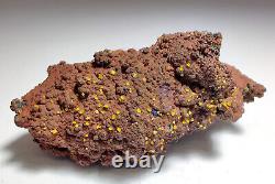 Wulfenite crystals on matrix, Beautiful piece. Whim Creek, Australia. 53 grams