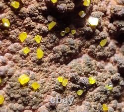 Wulfenite crystals on matrix, Beautiful piece. Whim Creek, Australia. 53 grams