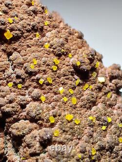 Wulfenite crystals on matrix, Beautiful piece. Whim Creek, Australia. 53 grams