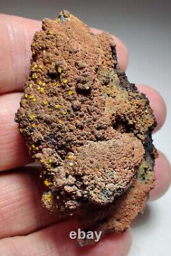 Wulfenite crystals on matrix, Beautiful piece. Whim Creek, Australia. 53 grams
