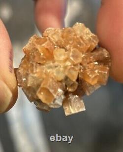 100 pièces de lots de cristaux d'aragonite rouge de 1 pouce