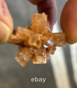 100 pièces de lots de cristaux d'aragonite rouge de 1 pouce 100 pièces de lots de cristaux d'aragonite rouge de 1 pouce