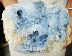 12.2lb Naturel Célestite Geode Quartz Affichage Des Échantillons Pièces De Guérison