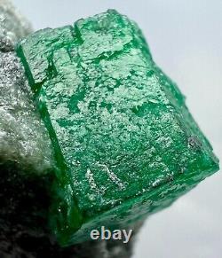 161 pièces de collection GM Full Terminated Top Green Swat Emerald Huge Crystal Sur Mat