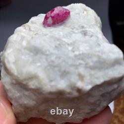 237grammes Une pièce éblouissante de cristal de rubis naturel lustré sur matrice