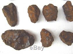 29 Pièces Rare Meteorite De Fer De La Chine