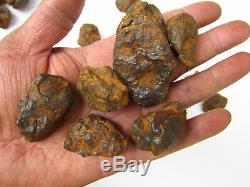 29 Pièces Rare Meteorite De Fer De La Chine