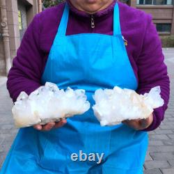 2Pièces 2200G Grosse Améthyste de Quartz Clair Blanc Brut Spécimen de Guérison 433