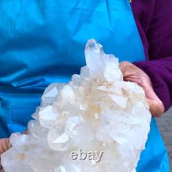 2Pièces 2200G Grosse Améthyste de Quartz Clair Blanc Brut Spécimen de Guérison 433