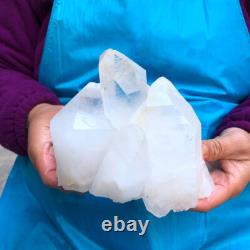 2Pièces 2620G Grosse Cristal de Quartz Blanc Clair Brut Échantillon de Guérison 434