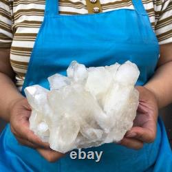 2Pièces 2700G Cristal de Quartz Transparent Blanc Groupe Échantillon Brut de Guérison 1467