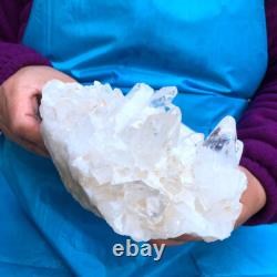 2Pièces 2730G Grosse Pierre de Quartz Blanc Transparent Spécimen Brut Guérison 432