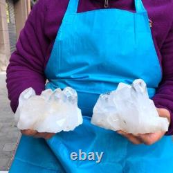 2Pièces 4,4LB Cristal de Quartz Clair en Grappes Spécimen Minéral 431