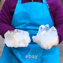 2Pièces 4,4LB Cristal de Quartz Clair en Grappes Spécimen Minéral 431