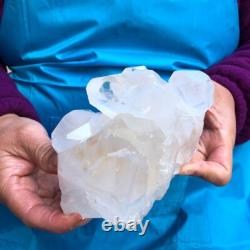 2Pièces 4,4LB Cristal de Quartz Clair en Grappes Spécimen Minéral 431