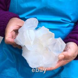 2Pièces 4,4LB Cristal de Quartz Clair en Grappes Spécimen Minéral 431