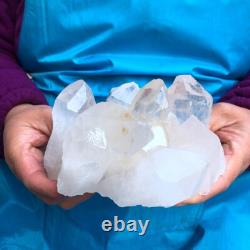 2Pièces 4,4LB Cristal de Quartz Clair en Grappes Spécimen Minéral 431