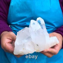 2Pièces 4,4LB Cristal de Quartz Clair en Grappes Spécimen Minéral 431