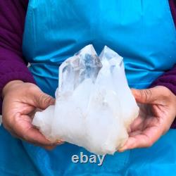 2Pièces 4,4LB Cristal de Quartz Clair en Grappes Spécimen Minéral 431