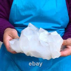 2Pièces 6.73LB Minéral Spécimen de Cristal de Quartz Clair en Grappes 425