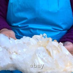 2Pièces 7.17LB Minéral Spécimen de Cristal de Quartz Clair en Grappes 429