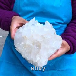 2Pièces 7.17LB Minéral Spécimen de Cristal de Quartz Clair en Grappes 429