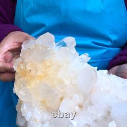 2Pièces 7.17LB Minéral Spécimen de Cristal de Quartz Clair en Grappes 429