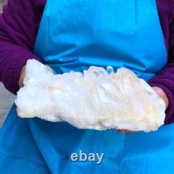 2Pièces 7.17LB Minéral Spécimen de Cristal de Quartz Clair en Grappes 429