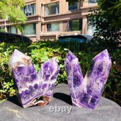 2 Pièces 1880g Cristal Violet Naturel Rêveur Multi Pointes Pilier de Guérison 1165