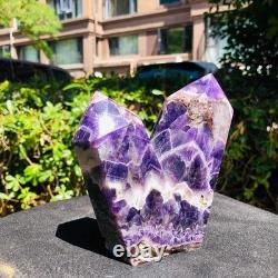 2 Pièces 1880g Cristal Violet Naturel Rêveur Multi Pointes Pilier de Guérison 1165