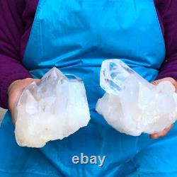2 Pièces 3.78LB Spécimen de Casteau de Quartz Transparent Naturel Blanc 426