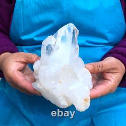 2 Pièces 3.78LB Spécimen de Casteau de Quartz Transparent Naturel Blanc 426