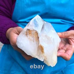 2 Pièces 3.78LB Spécimen de Casteau de Quartz Transparent Naturel Blanc 426