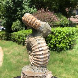 2 Pièces 6.18LB Fossile Ammonite Conque Cristal Naturel Beauté Échantillon 1536