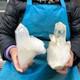 2 Pi&egrave;ces 6,51lb Cristal De Quartz Clair Naturel En Grappes Sp&eacute;cimen Min&eacute;ral 2883