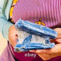 2 pièces 1960g Rare Cristal Bleu Kyanite Naturel Brut Spécimen Minéral 1917