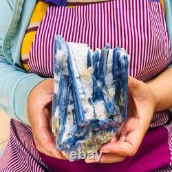 2 pièces 1960g Rare Cristal Bleu Kyanite Naturel Brut Spécimen Minéral 1917