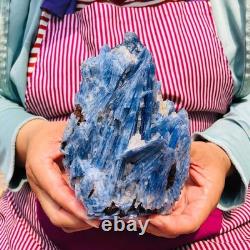 2 pièces 4,88LB Cristal Bleu Naturel Kyanite Brut Spécimen Minéral 1899