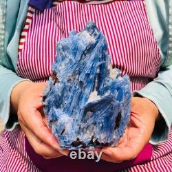 2 pièces 4,88LB Cristal Bleu Naturel Kyanite Brut Spécimen Minéral 1899