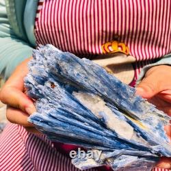 2 pièces 4,88LB Cristal Bleu Naturel Kyanite Brut Spécimen Minéral 1899