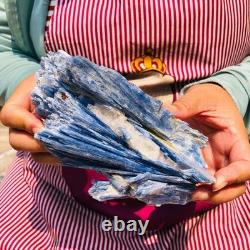 2 pièces 4,88LB Cristal Bleu Naturel Kyanite Brut Spécimen Minéral 1899