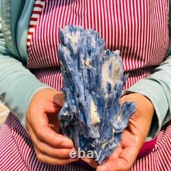 2 pièces 4,88LB Cristal Bleu Naturel Kyanite Brut Spécimen Minéral 1899